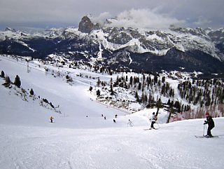 �g�t�@�[�i