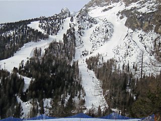 �R���`�i�@���q�v�t�R�[�X