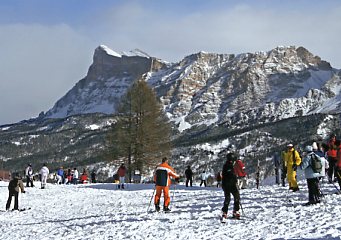 �A���^�o�f�B�A