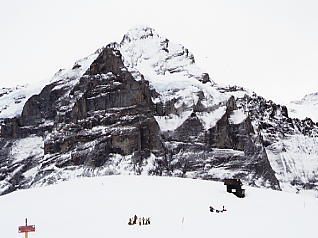 First�@Grindelwald