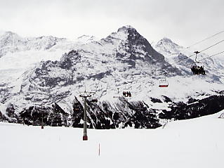 First�@Grindelwald