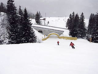 �O�����f�������g�F�j�̌�