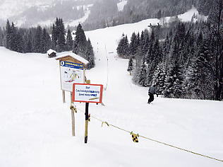 �O�����f�������g�F�����~