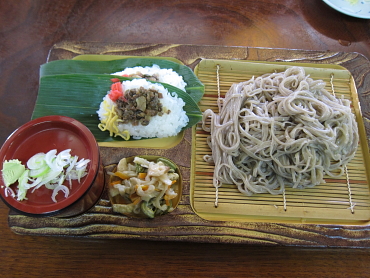 �x�q����