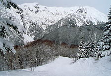 �V�䍂���[�v�E�F�C