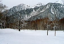 �V�䍂���[�v�E�F�C