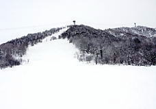 �V�䍂���[�v�E�F�C