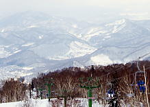 �e�C�l�n�C�����h