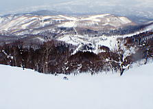 �e�C�l�n�C�����h