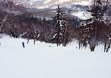 �e�C�l�n�C�����h