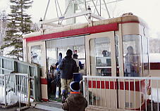 �e�C�l�n�C�����h