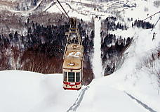 �e�C�l�n�C�����h