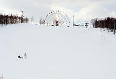 �e�C�l�I�����s�A