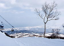 �e�C�l�n�C�����h