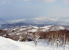 �e�C�l�n�C�����h