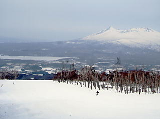 ���َ��сF��P�x