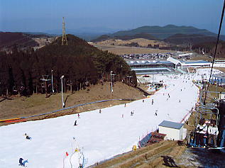 �V�R���]�[�g�F