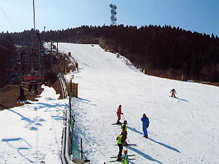 �V�R���]�[�g�F