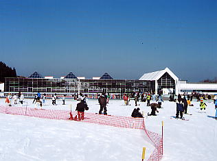 �V�R���]�[�g�F