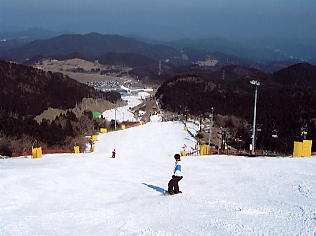 �V�R���]�[�g�F