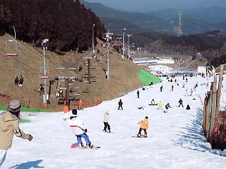 �V�R���]�[�g�F