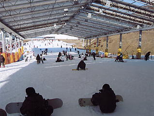 �V�R���]�[�g�F