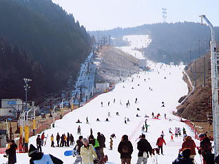 �V�R���]�[�g�F���C���R�[�X