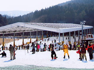 �V�R���]�[�g�F����