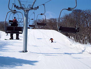 �������݂���F���t�g�e