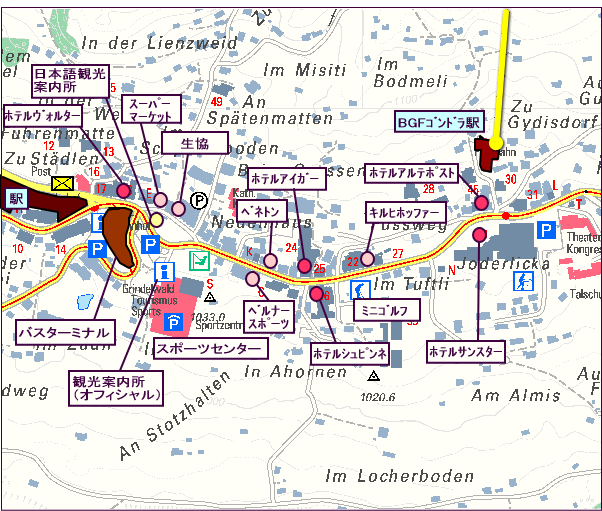 �O�����f�������g�F�n�}